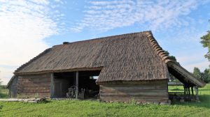 IMG_0148 01